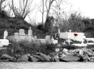 Image with flower illustrating technique for establishing focal point