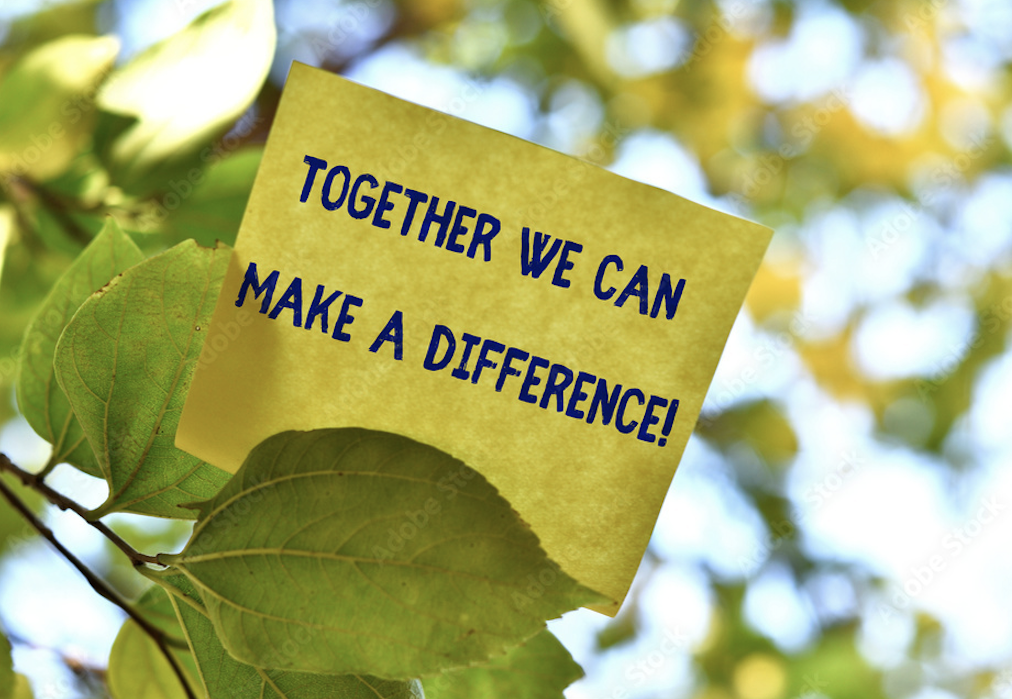 Apparel decorating environmentalism